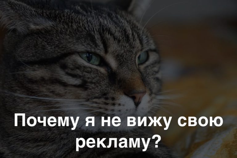 Почему я не вижу свою рекламу в Яндекс Директ